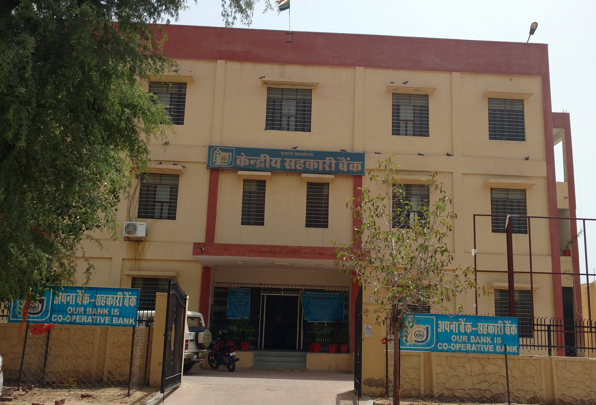 Head Office
